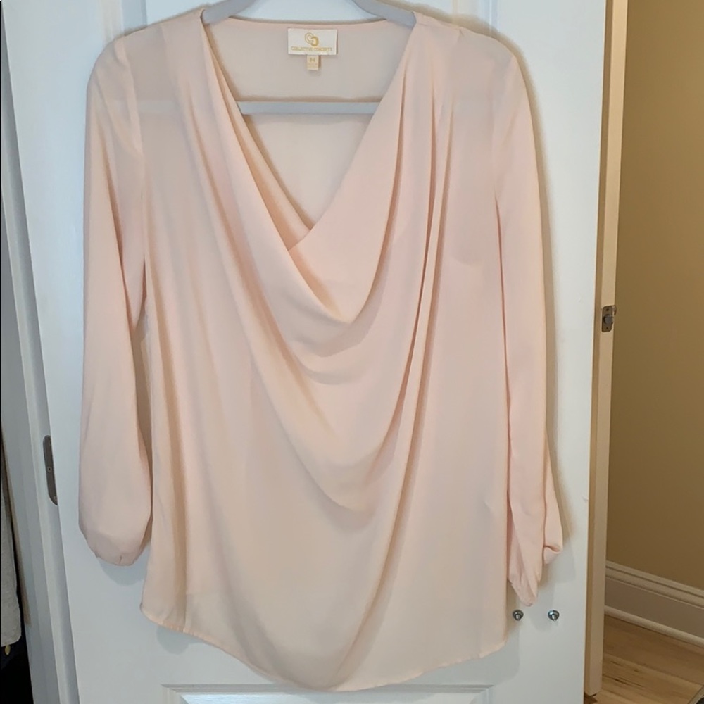 Blush scoop neck long sleeve blouse